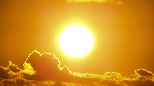 The Missing Link in Your Vitamin D Routine