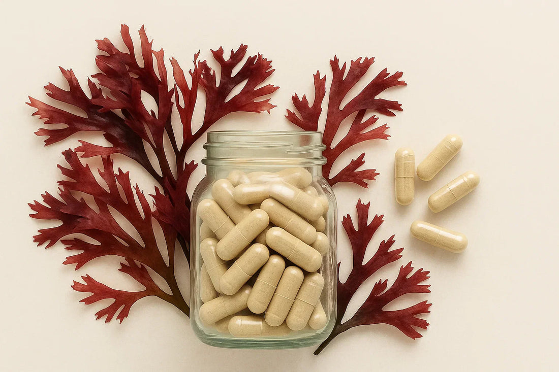 Plant Based Calcium Supplements: A Complete Guide to Natural Bone Health Support