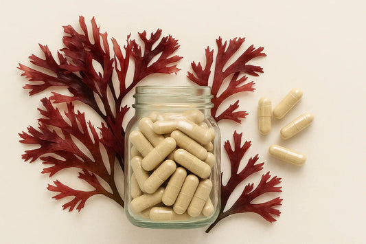 Plant Based Calcium Supplements: A Complete Guide to Natural Bone Health Support