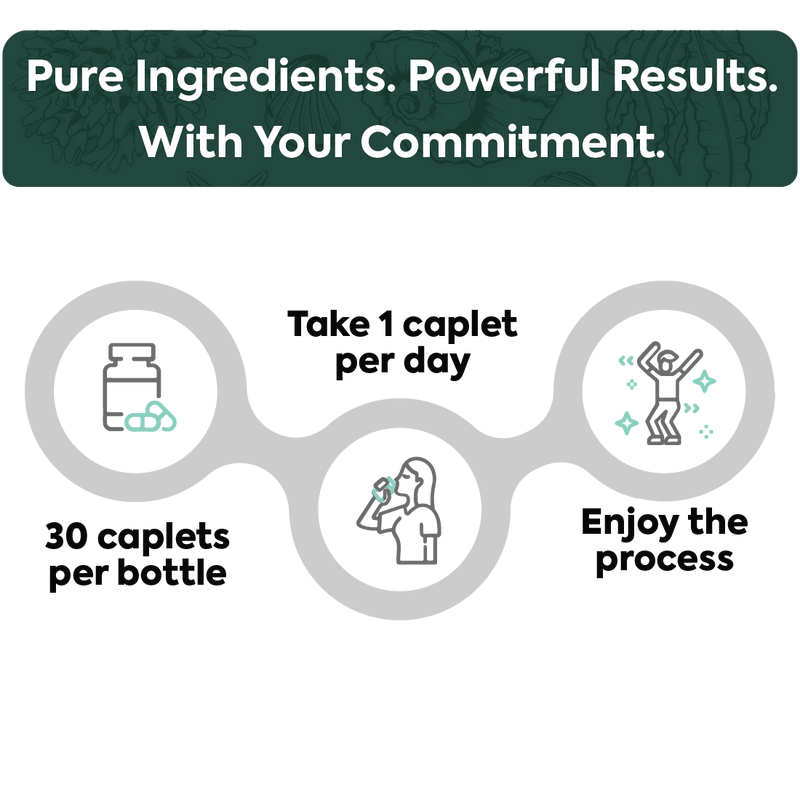 One-Per-Day Shilajit Capsules