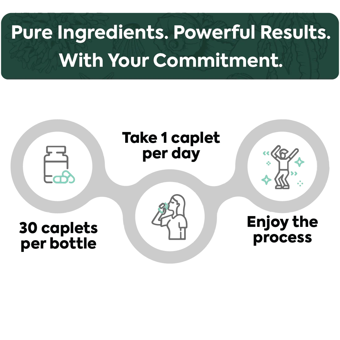 Organics Ocean One-Per-Day Shilajit