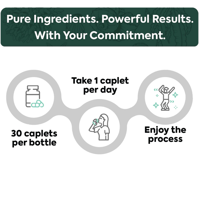 Organics Ocean One-Per-Day Shilajit
