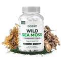 Wild Sea Moss