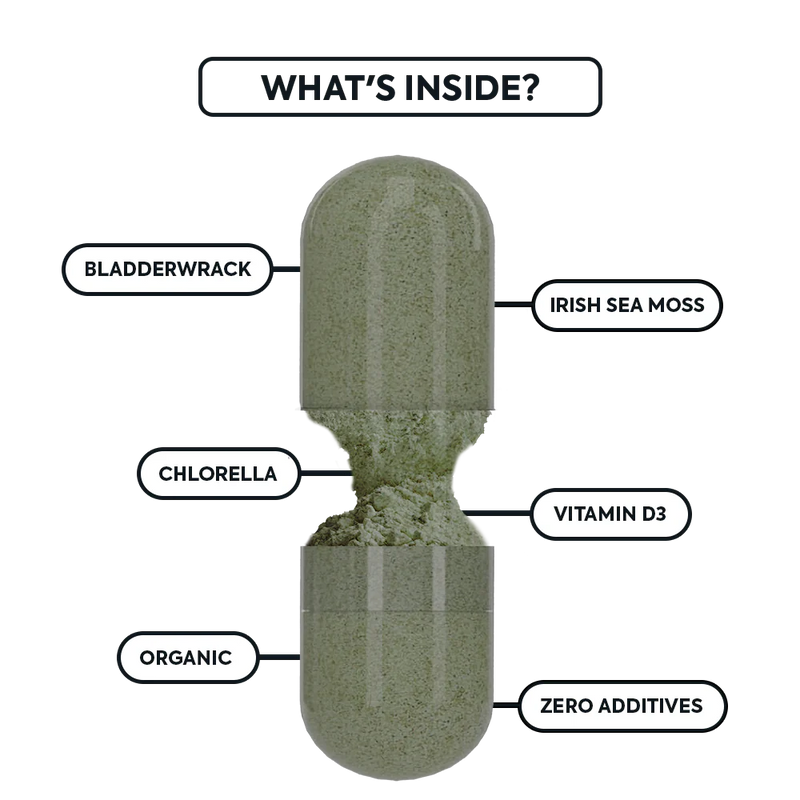 Organics Ocean Wild Sea Moss