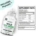 Wild Sea Moss