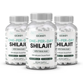 One-Per-Day Shilajit