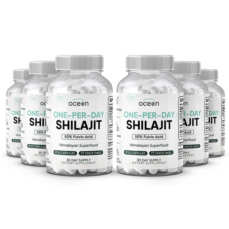 Organics Ocean One-Per-Day Shilajit