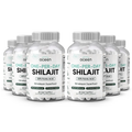 One-Per-Day Shilajit