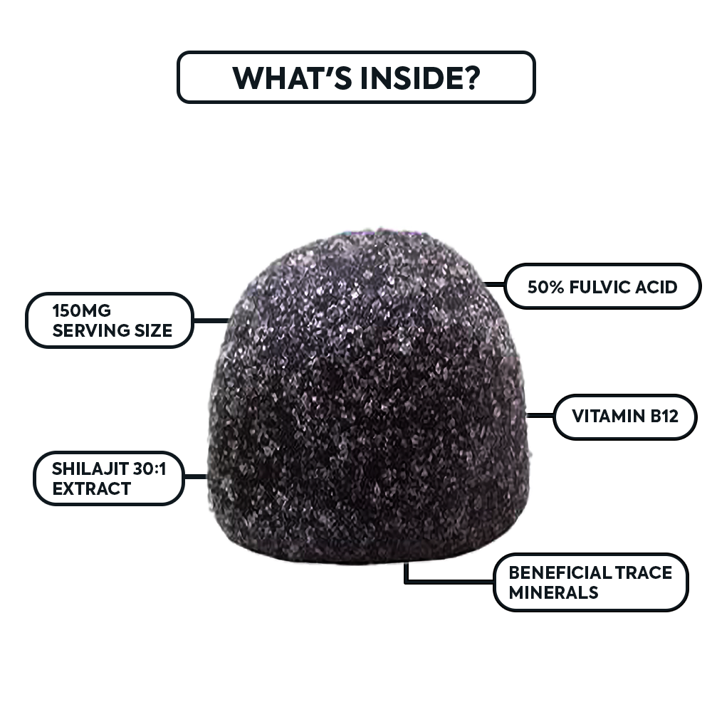 Organics Ocean Purified Shilajit Gummies
