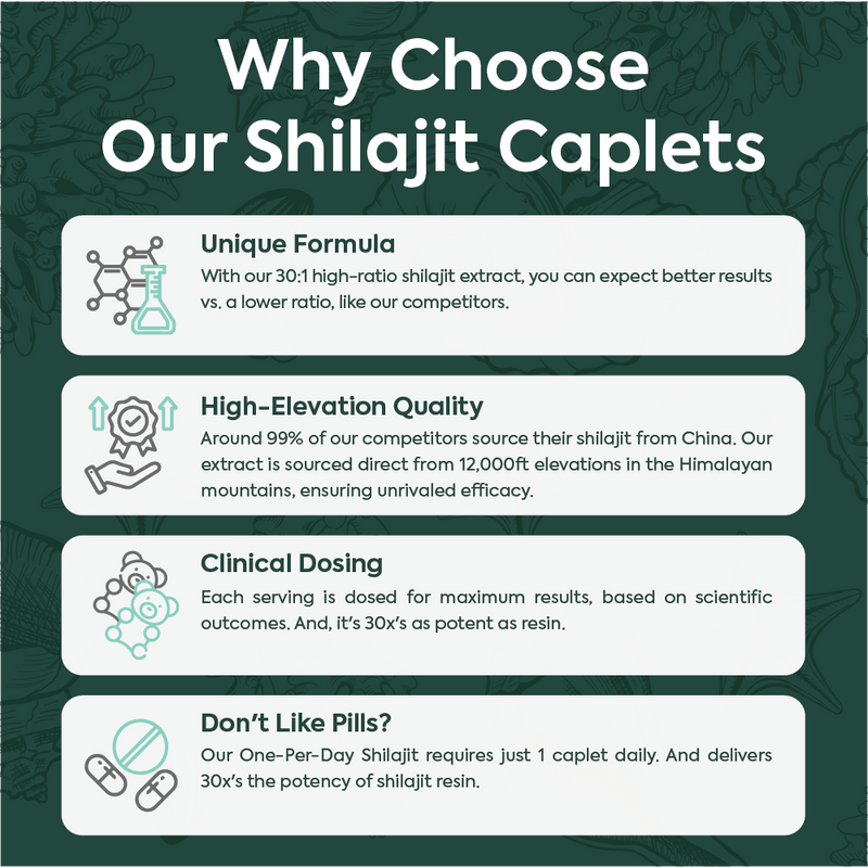 One-Per-Day Shilajit Capsules