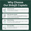 One-Per-Day Shilajit