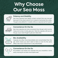 Wild Sea Moss