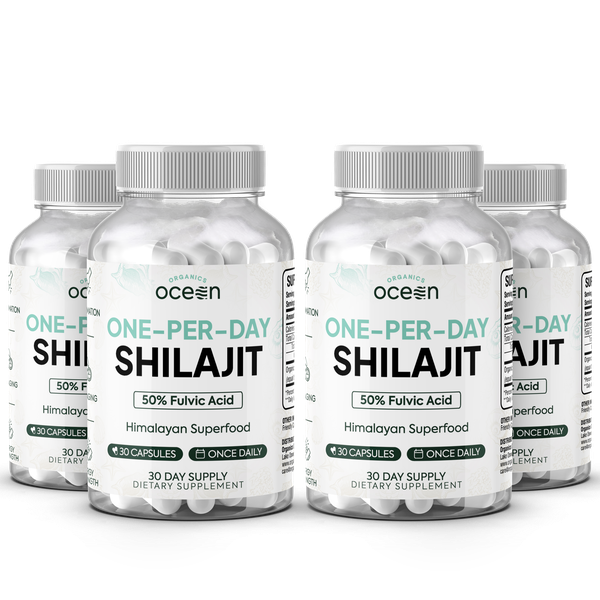 One-Per-Day Shilajit Capsules
