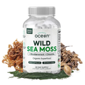 Wild Sea Moss