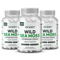 Wild Sea Moss