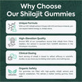 Purified Shilajit Gummies