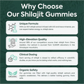 Purified Shilajit Gummies