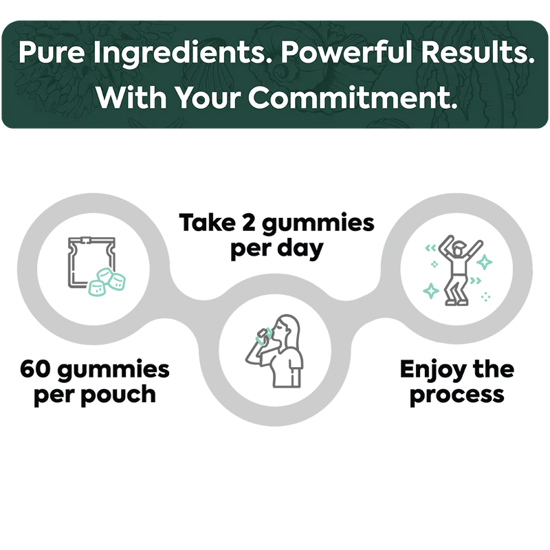 Organics Ocean Purified Shilajit Gummies