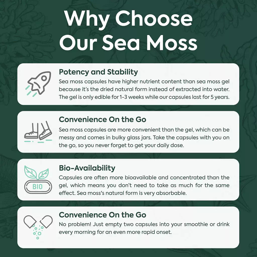 Organics Ocean Wild Sea Moss